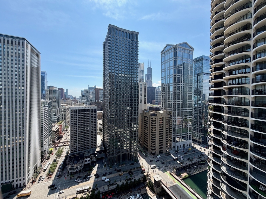 300 N State Street - Photo 4
