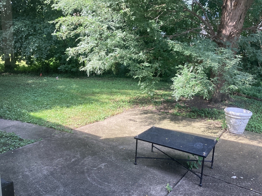 928 N Rohlwing Road - Photo 12