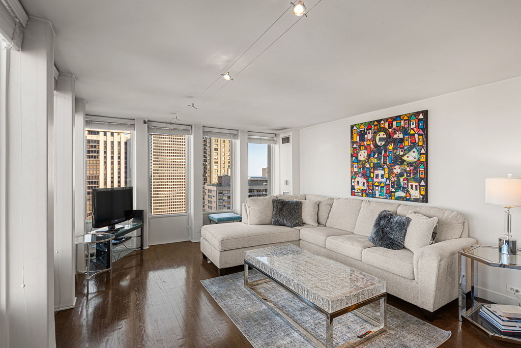 100 E Walton Street - Photo 4