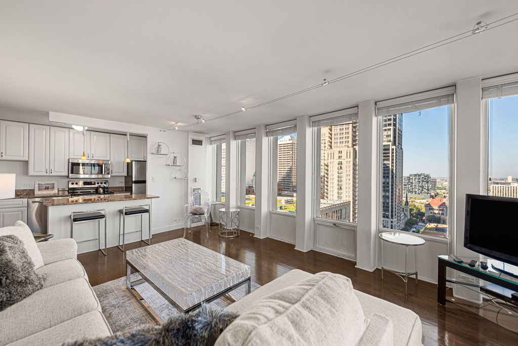 100 E Walton Street - Photo 2