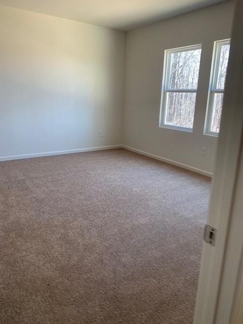 4815 Minnow Lane - Photo 3