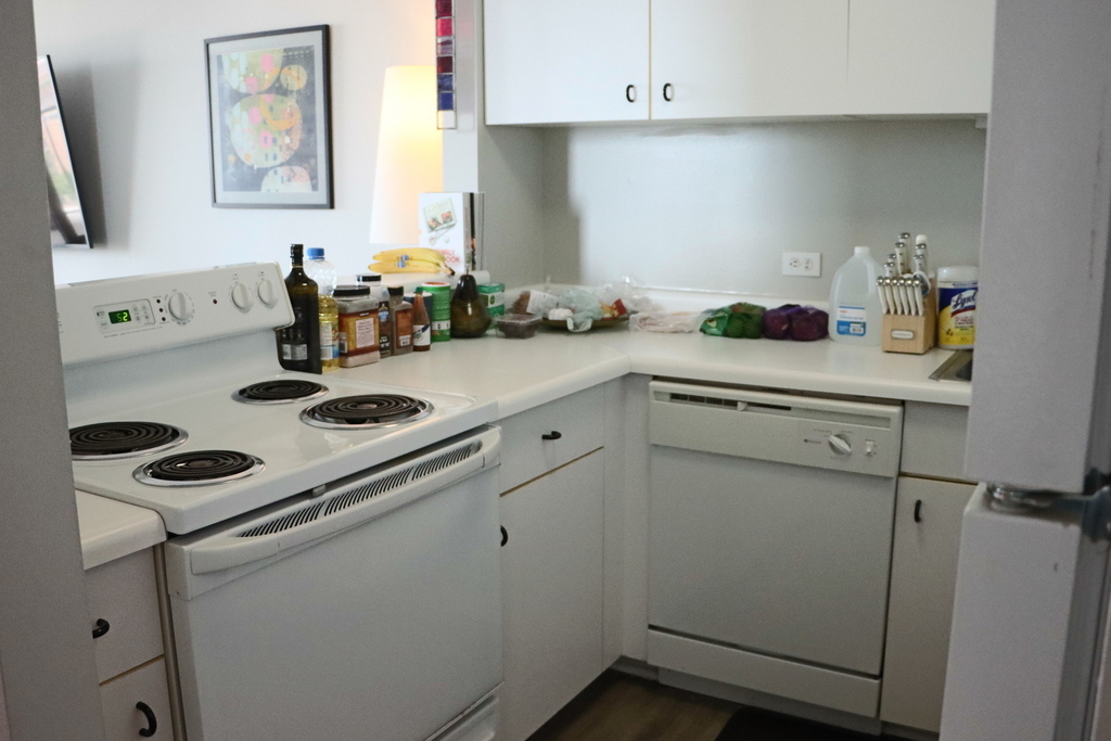 3660 N Lake Shore Drive - Photo 5