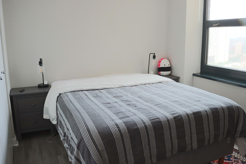 3660 N Lake Shore Drive - Photo 10