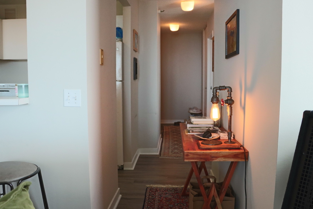 3660 N Lake Shore Drive - Photo 9