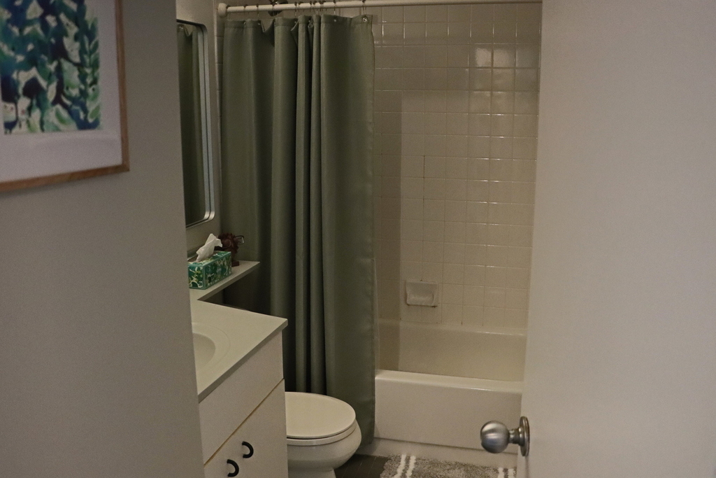 3660 N Lake Shore Drive - Photo 11