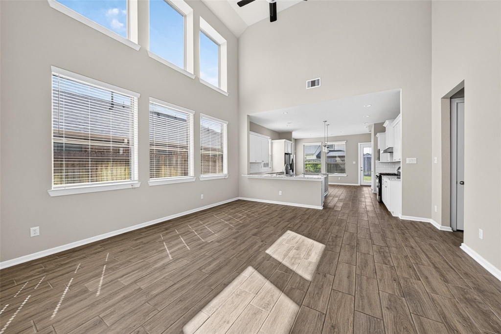 29627 Mahogany View Lane - Photo 9