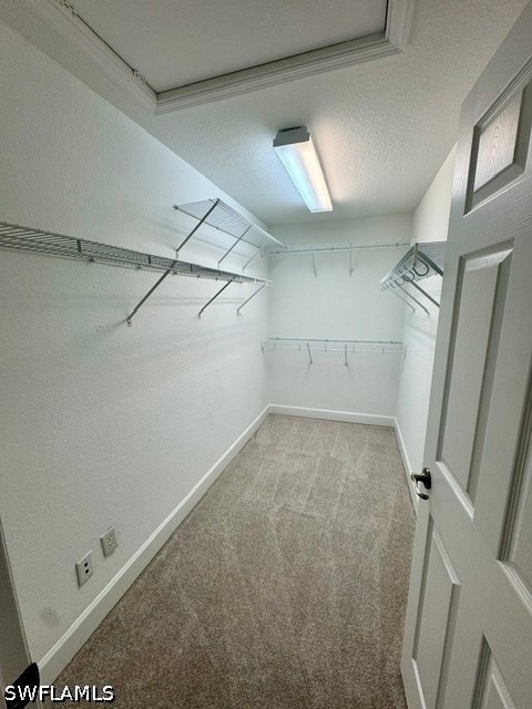 13560 Troja Drive - Photo 10