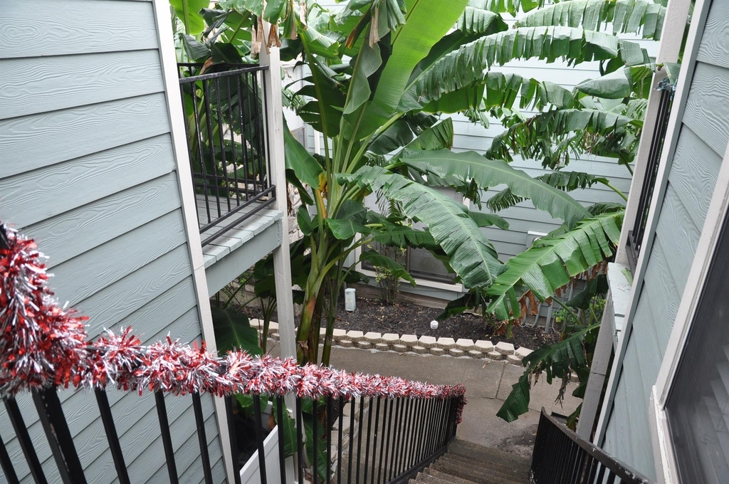 3754 Tanglewilde Street - Photo 27