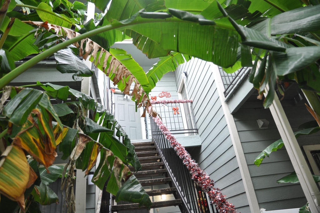 3754 Tanglewilde Street - Photo 28