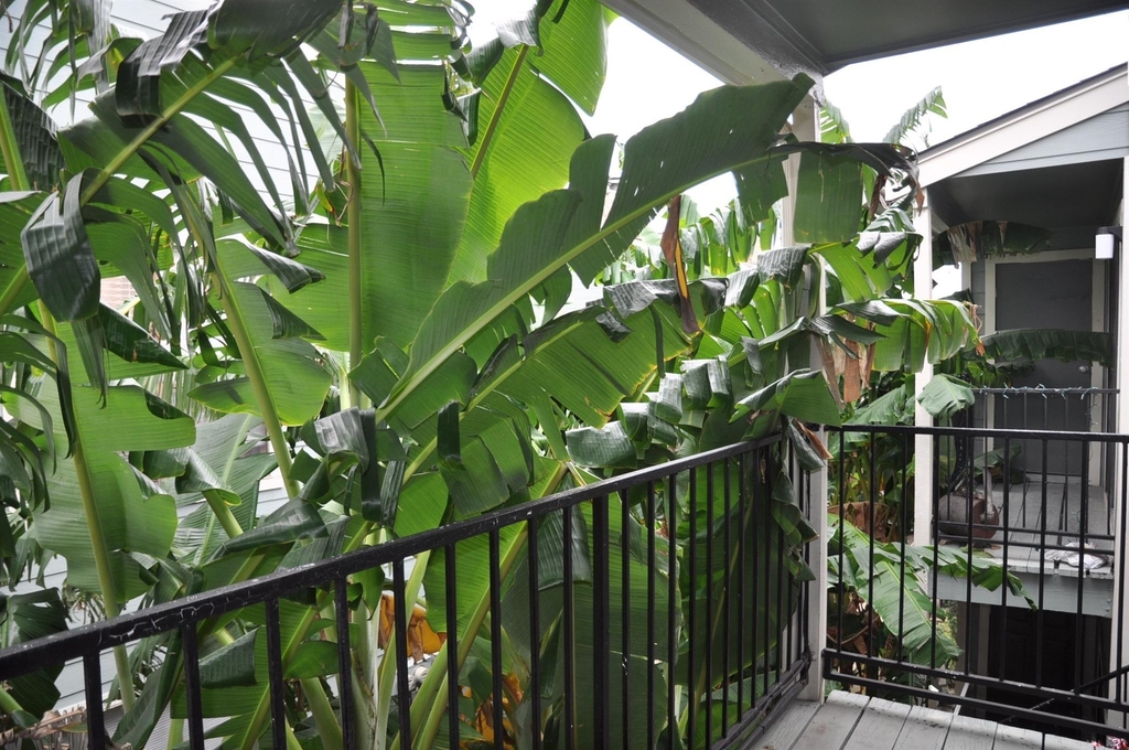 3754 Tanglewilde Street - Photo 2
