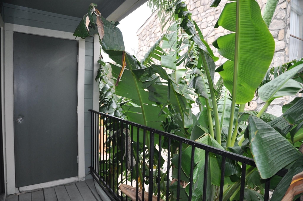 3754 Tanglewilde Street - Photo 3