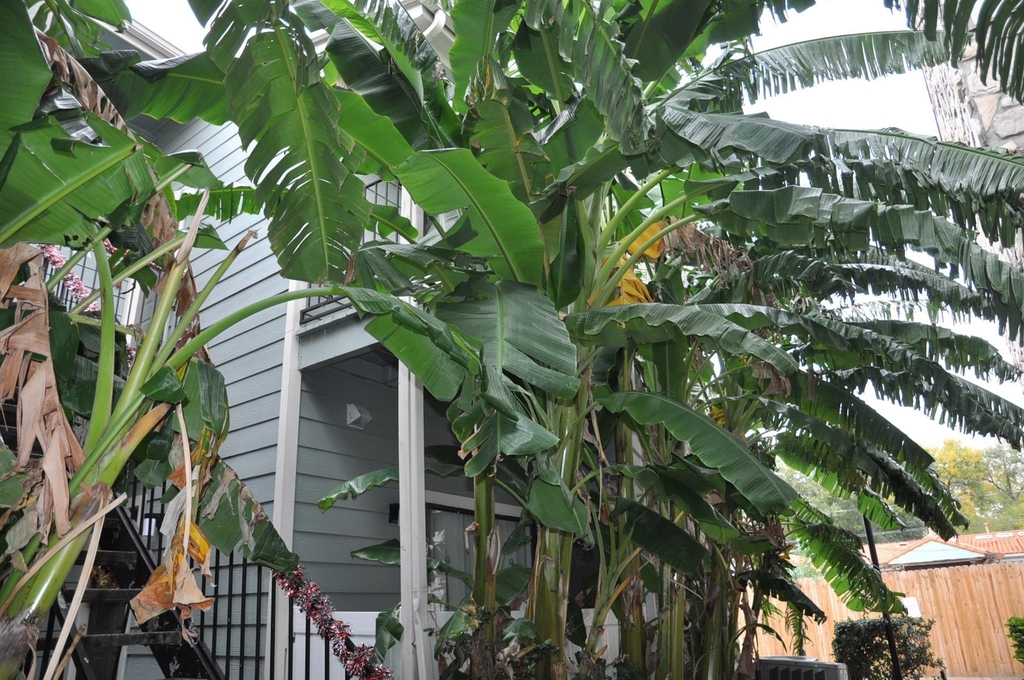 3754 Tanglewilde Street - Photo 29
