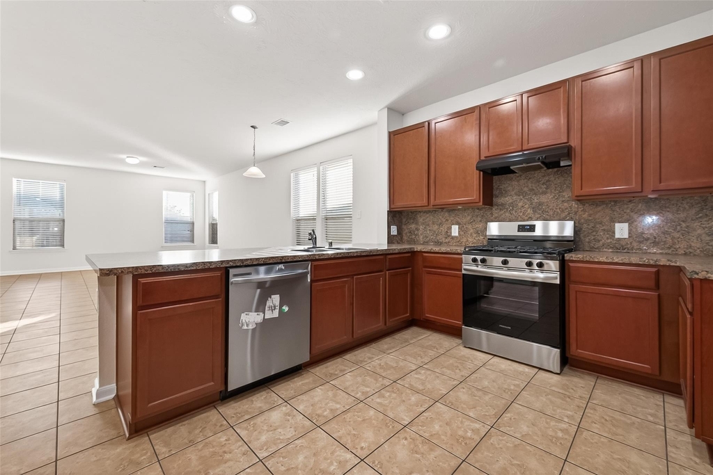 21015 Blackstone Villa Lane - Photo 16