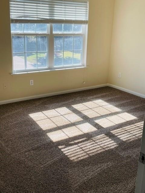 9506 Carsonmont Lane - Photo 20