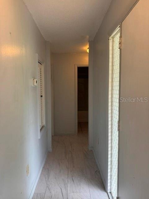12 Spring Loop - Photo 23