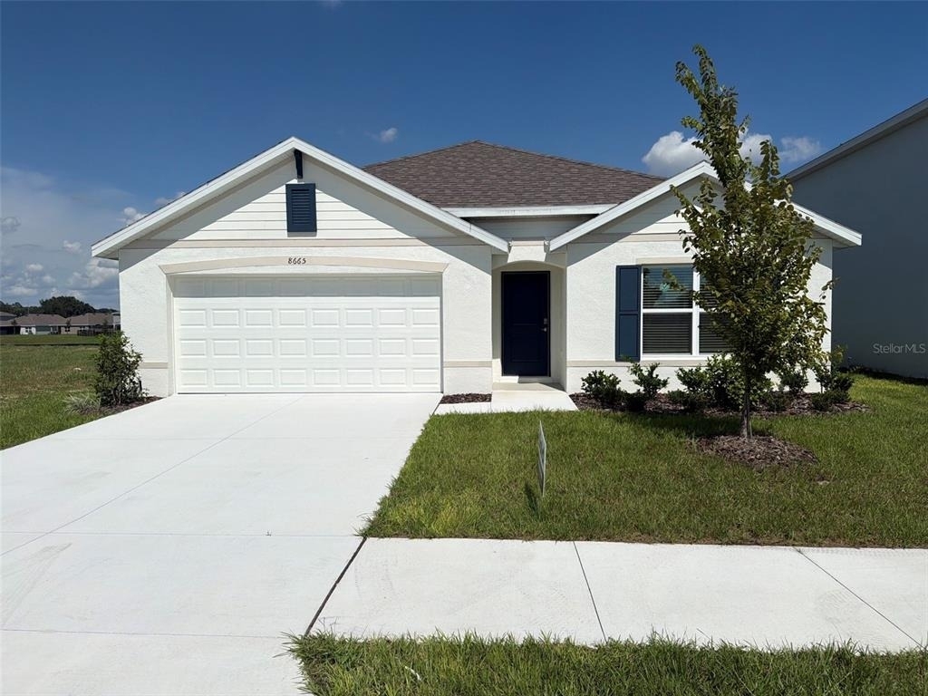 8665 Barragan Drive - Photo 0