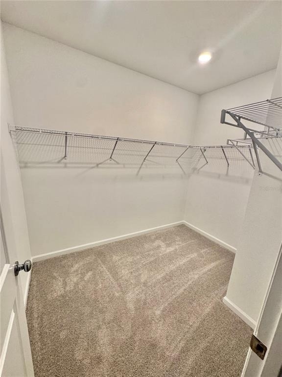2557 Skyline Loop - Photo 17