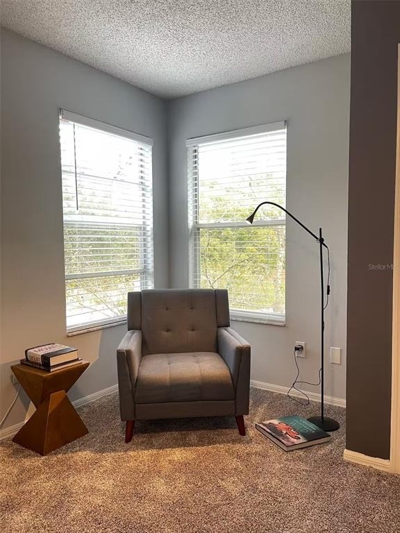 102 W Frederick Avenue - Photo 18