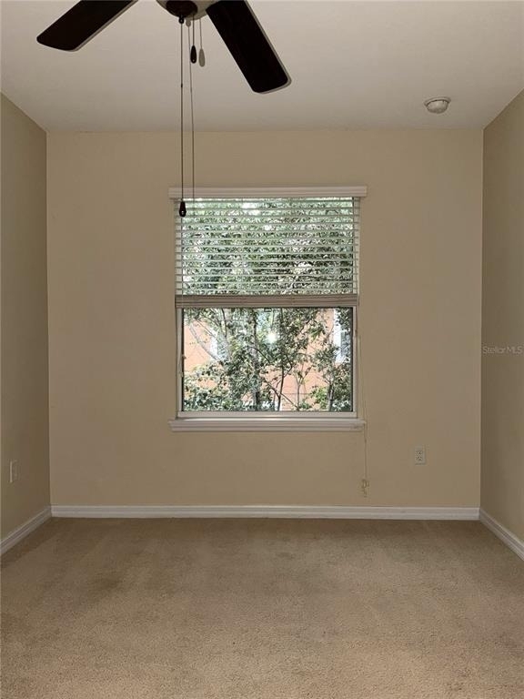 4910 Fiorazante Avenue - Photo 14