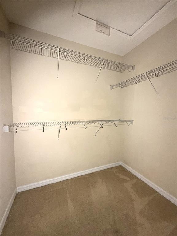 4910 Fiorazante Avenue - Photo 20