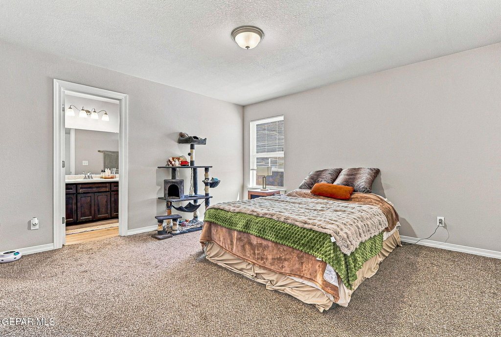 14552 Mescal Bean Court - Photo 25