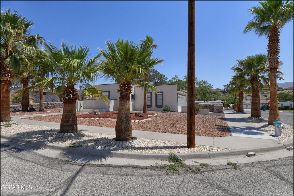 6300 Jebel Way - Photo 3