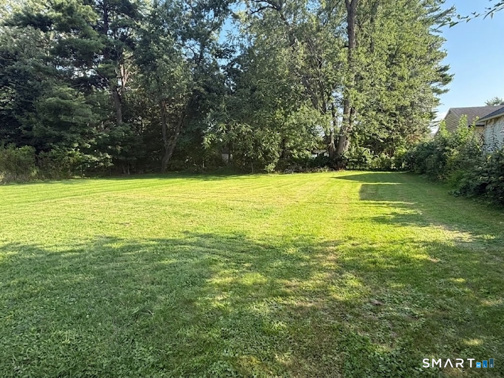 99 Seymour Avenue - Photo 13