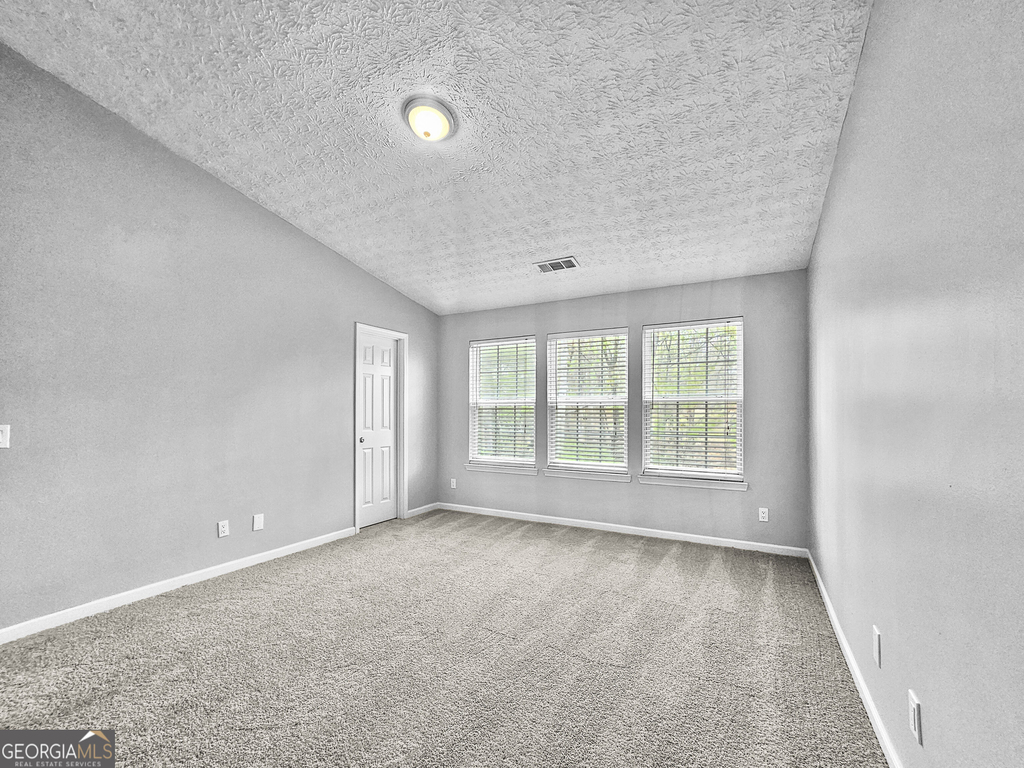 1236 Liriope Lane - Photo 10