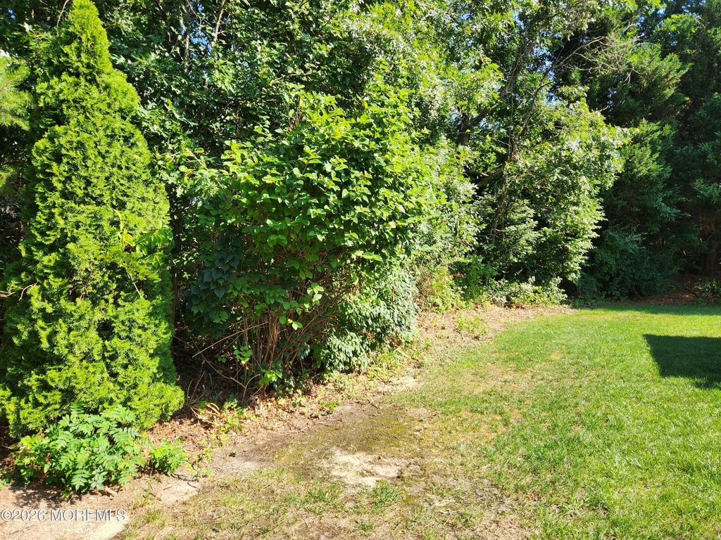 21 Timberline Drive - Photo 22