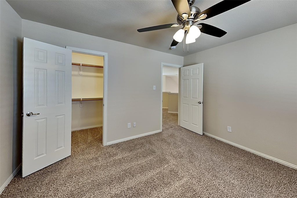 11800 Porcupine Drive - Photo 14