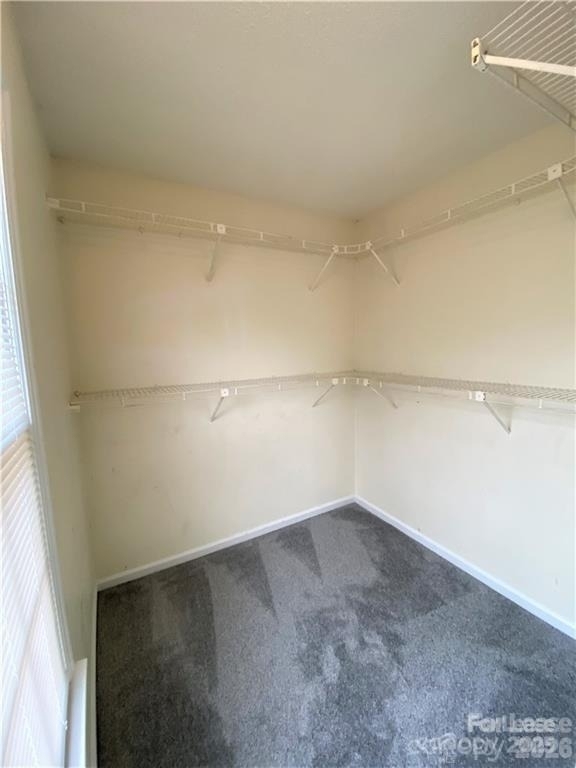 6217 Bandy Drive - Photo 20