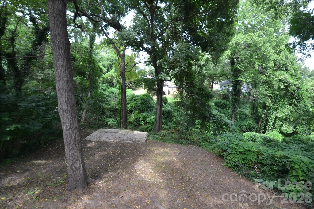 406 W 9th Street - Photo 23