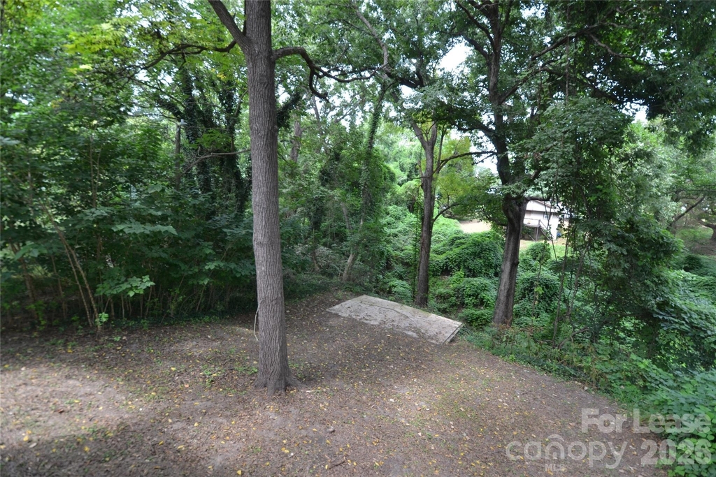 406 W 9th Street - Photo 22