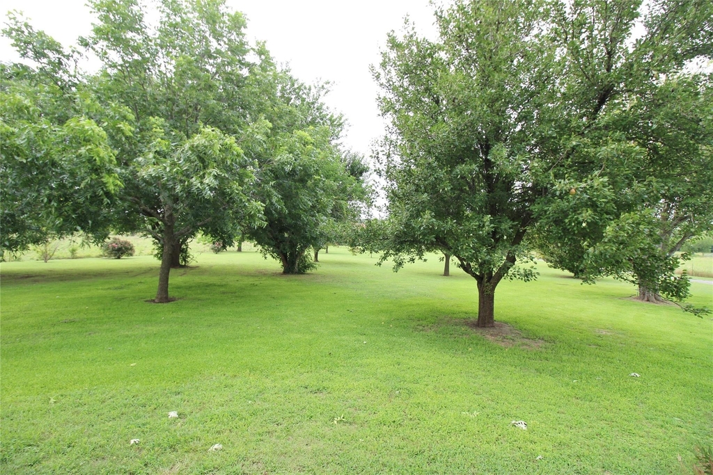8150 Bob White Road - Photo 2
