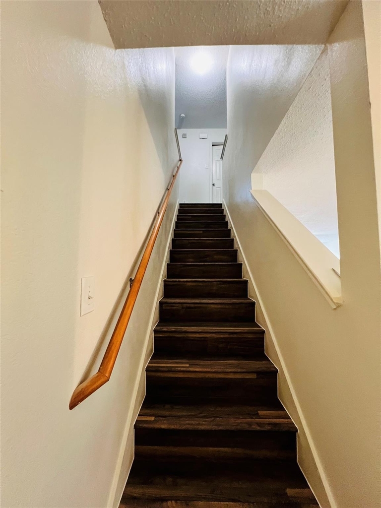 6209 Thoroughbred Trail - Photo 24