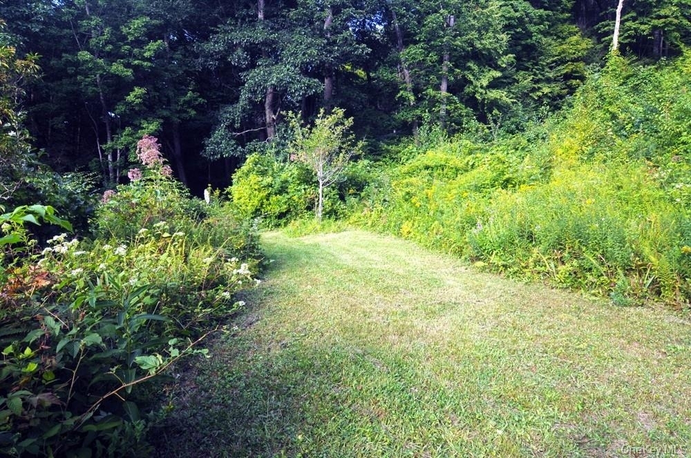 38 Horseshoe Bend Road - Photo 14