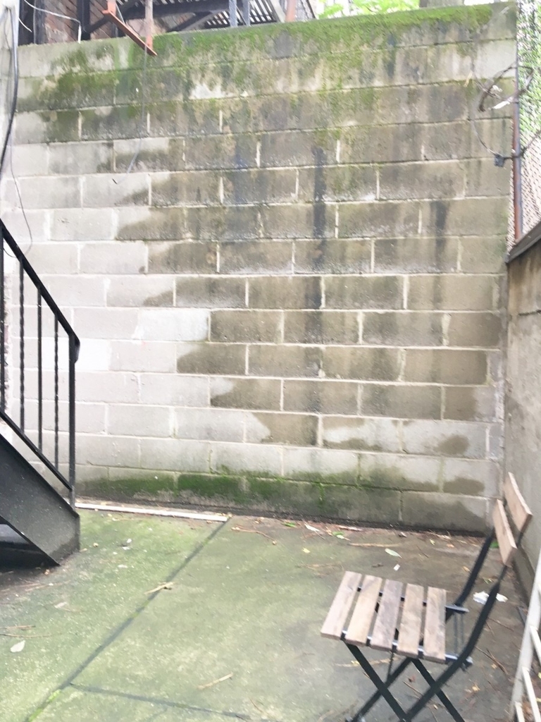 224 E 27th Street - Photo 4