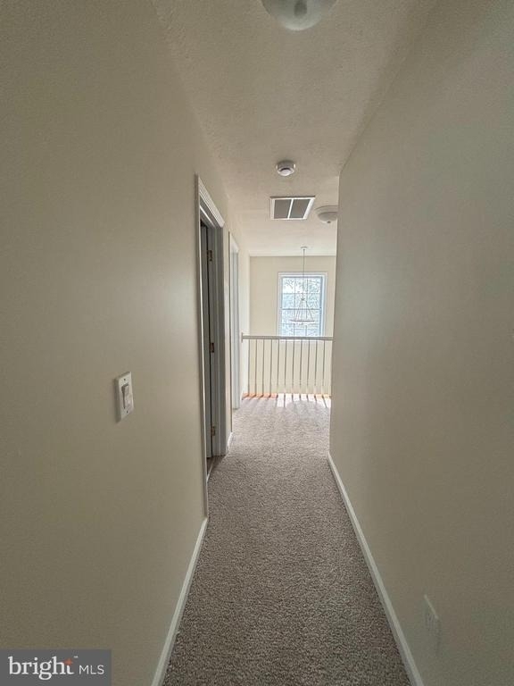 38 Hot Springs Way - Photo 14