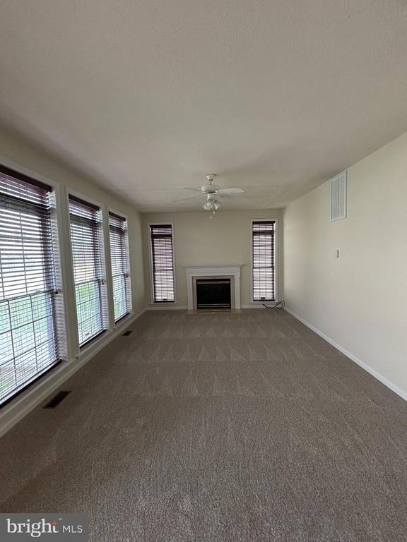 38 Hot Springs Way - Photo 11