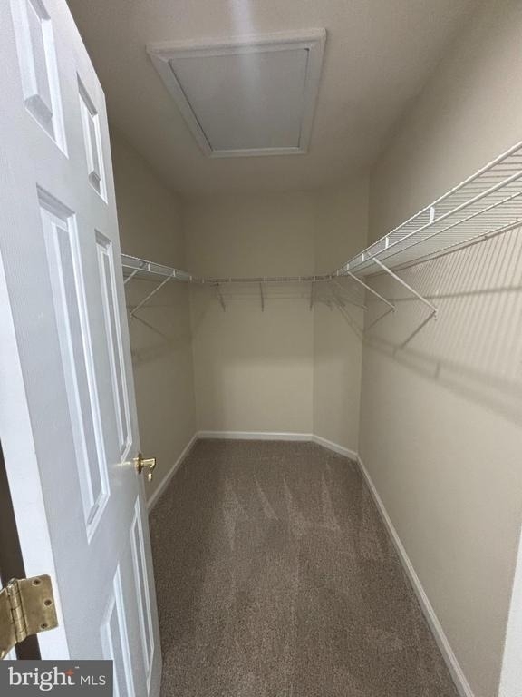 38 Hot Springs Way - Photo 22