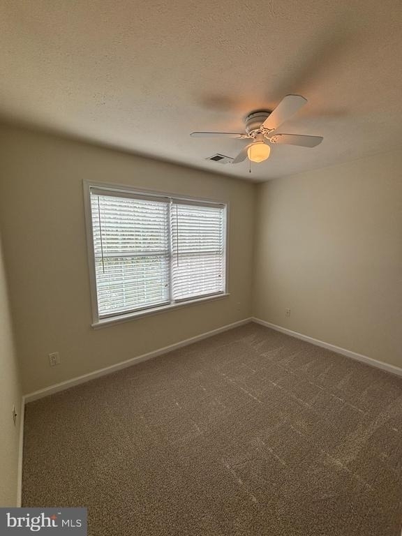 38 Hot Springs Way - Photo 23