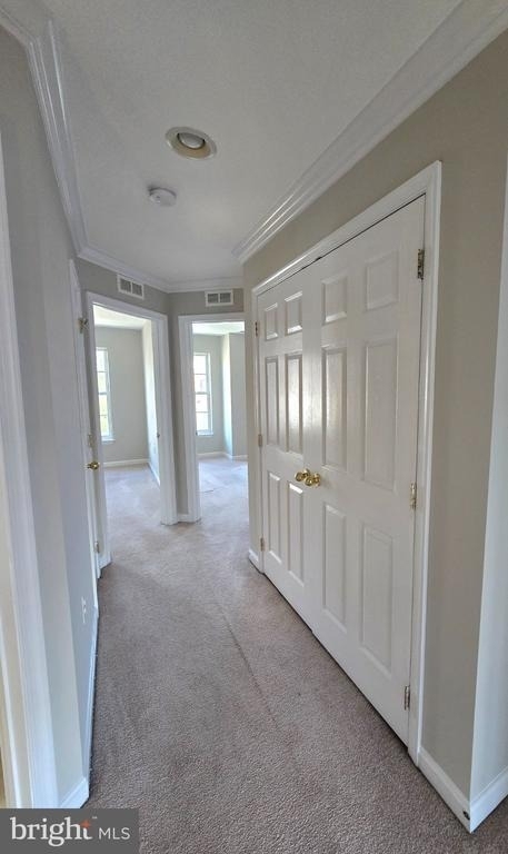 17513 Victoria Falls Drive - Photo 15