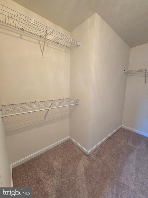 17513 Victoria Falls Drive - Photo 11