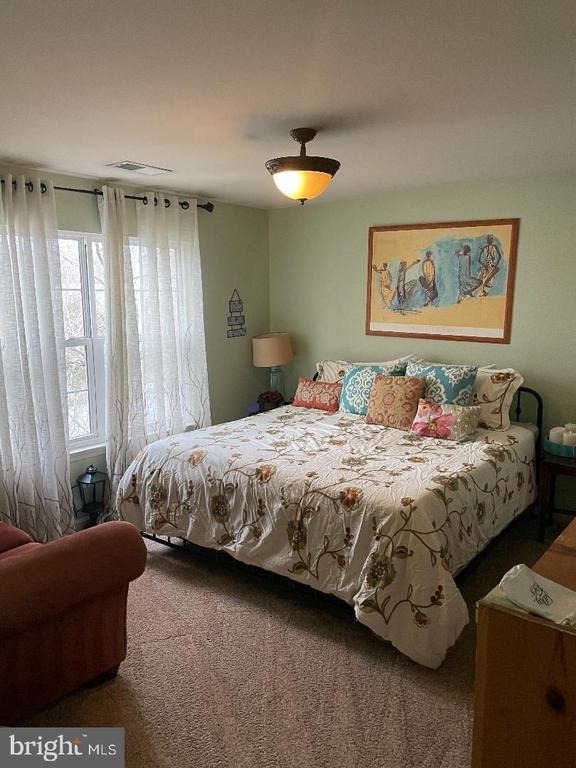 5220 Painted Turtle Way - Photo 10