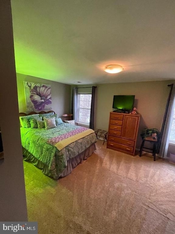 5220 Painted Turtle Way - Photo 9
