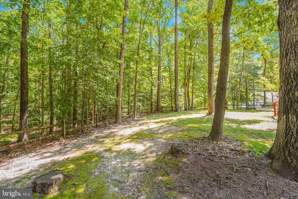 10521 Roosevelt Drive - Photo 2