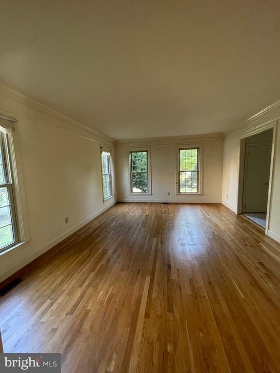 10804 Willow Run Court - Photo 12