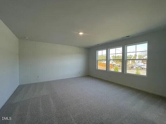 214 N Finley Landing Parkway - Photo 17