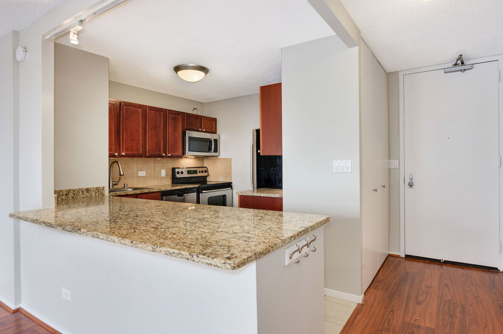 30 E Huron Street - Photo 4