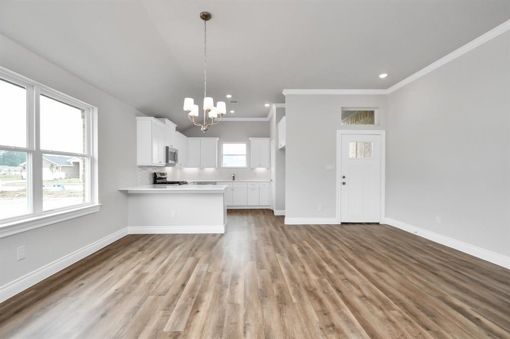 10135 Cabo Del Sol Drive - Photo 1